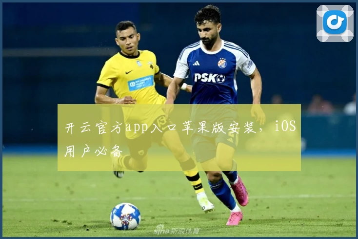 开云官方app入口苹果版安装，iOS用户必备