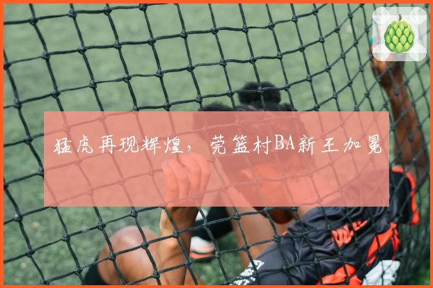 猛虎再现辉煌，莞篮村BA新王加冕