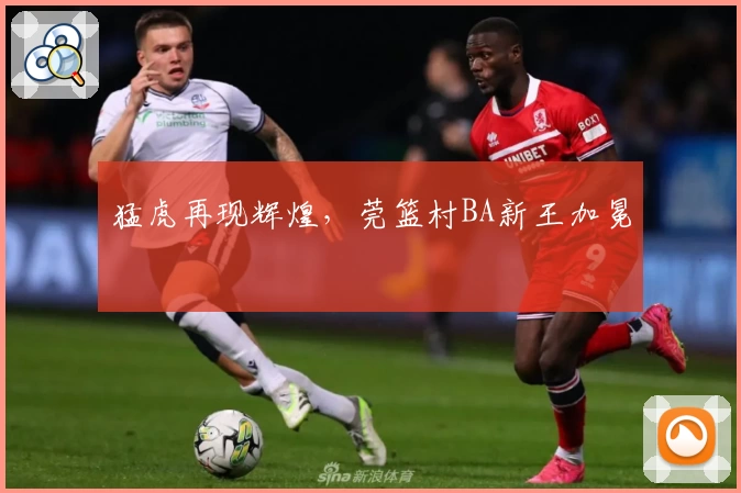 猛虎再现辉煌,莞篮村BA新王加冕