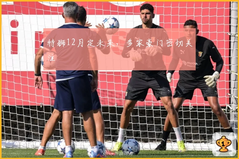 特狮12月定未来，多家豪门密切关注