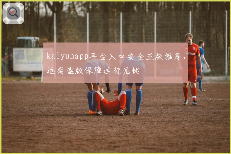 kaiyunapp平台入口安全正版推荐，远离盗版保障运行无忧